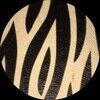 yansyu4